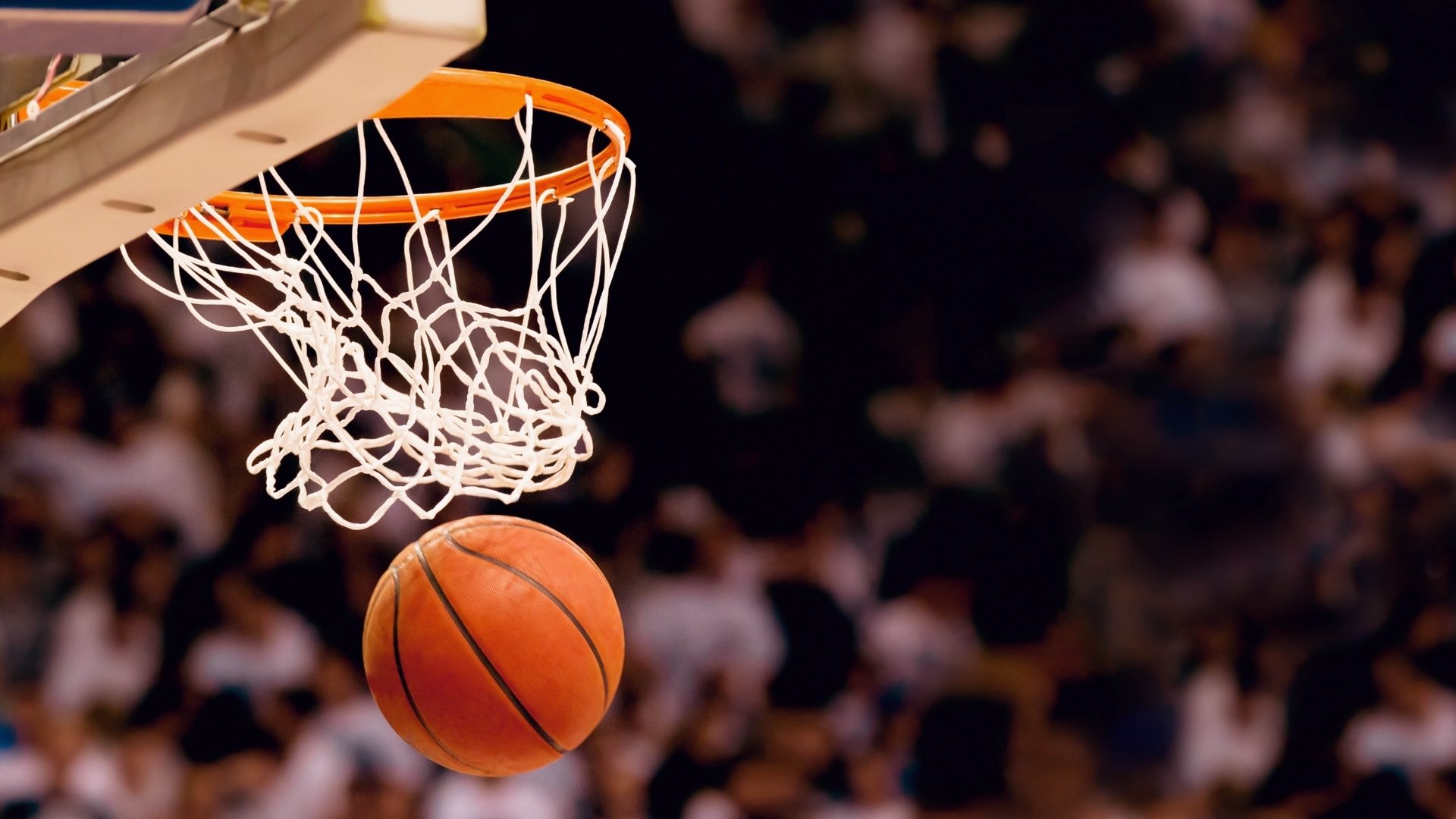 百家乐游戏-CBA遇上西甲，NBA改行打篮球？辽宁本钢、上海申花与印第安纳步行者的跨界炸裂奇观